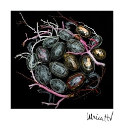 Vykort UHV - The Nest