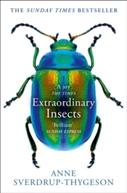 Extraordinary Insects : Weird, Wonderful, Indispensable, the Ones Who Run o