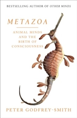 Metazoa : The Evolution of Animals, Minds, Consciousness and Sleep