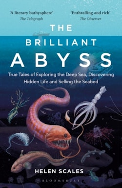 Brilliant Abyss - True Tales of Exploring the Deep Sea, Discovering Hidden