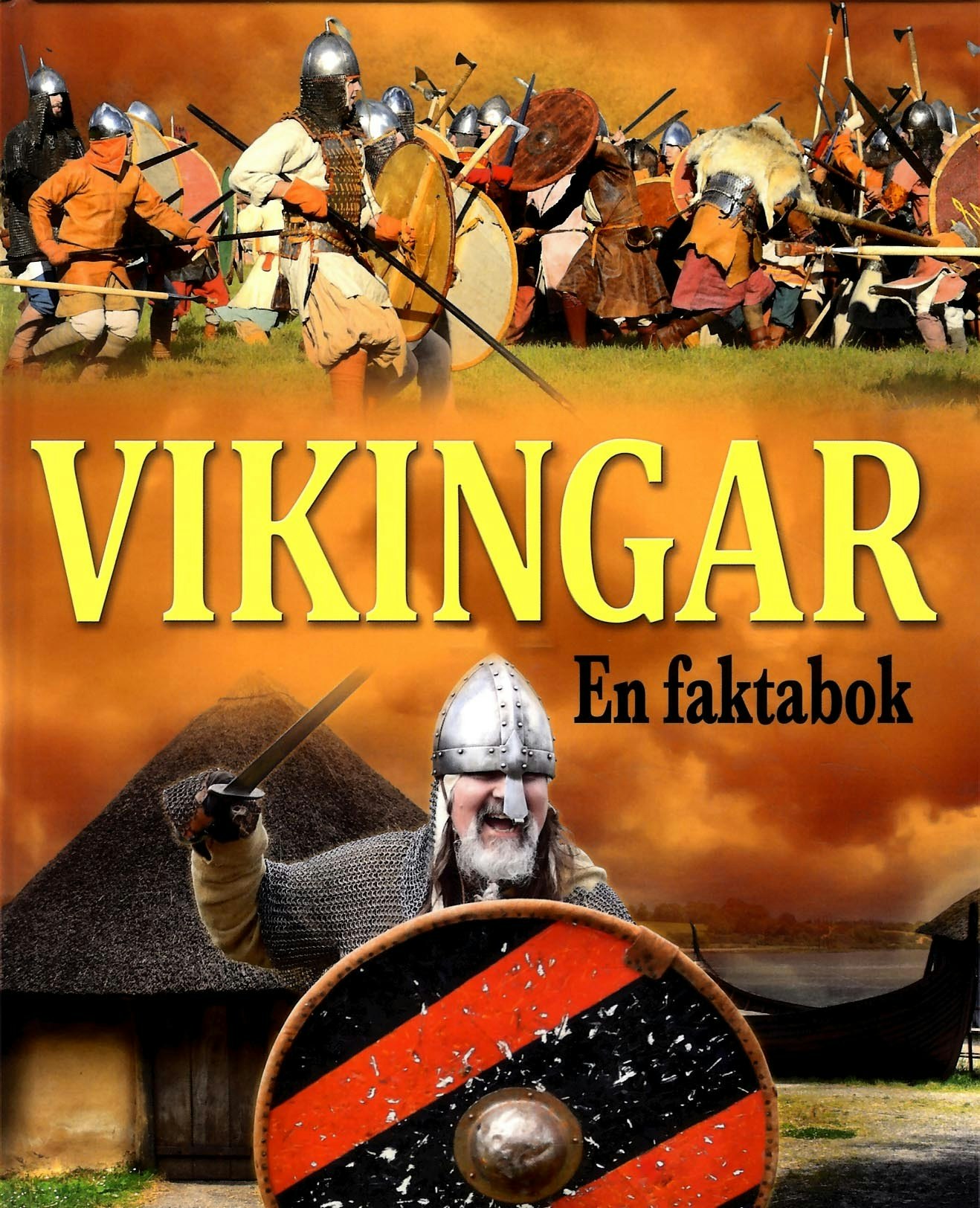 Vikingar : en faktabok