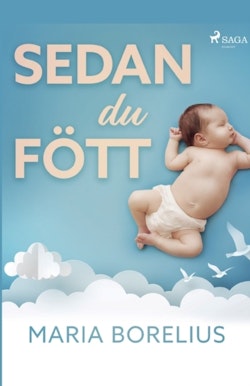 Sedan du fött : en bok om hur du tar hand om dig själv efter graviditet och förlossning