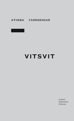 Vitsvit