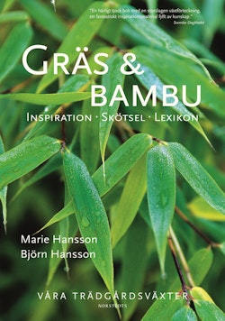 Gräs & bambu : inspiration, skötsel, lexikon