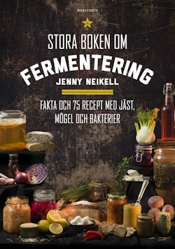 Stora boken om fermentering : fakta och 75 recept med jäst, mögel och bakterier