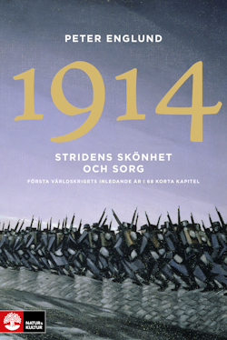 Stridens skönhet och sorg 1914 : första världskrigets inledande år i 68 korta kapitel