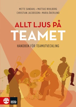 Allt ljus på teamet : en handbok för teamutveckling