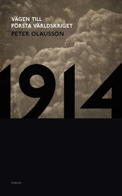 1914 : Vägen till första världskriget