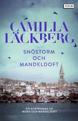 Snöstorm och mandeldoft : en kortroman ur Mord och mandeldoft