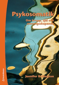 Psykosomatik : om kropp, själ och meningsskapande