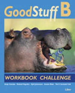 Good Stuff B Workbook Challenge