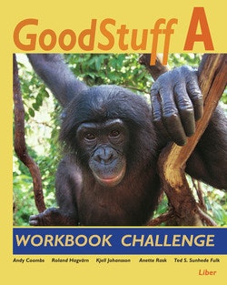 Good Stuff A Workbook Challenge
