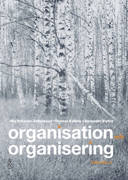 Organisation och organisering