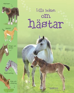 Lilla boken om hästar