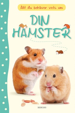 Allt du behöver veta om din hamster 