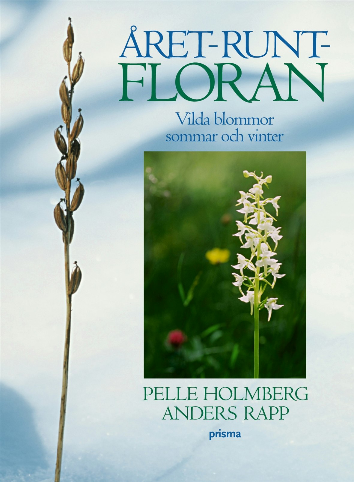 Året-runt-floran : Vilda blommor sommar och vinter