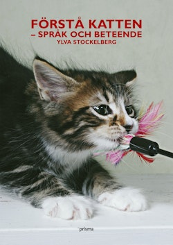 Förstå katten : språk och beteende
