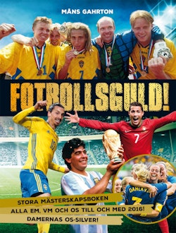 Fotbollsguld : stora mästerskapsboken