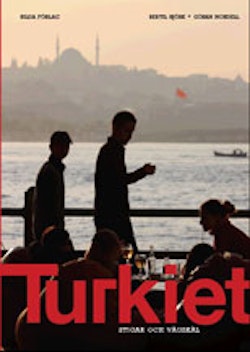 Turkiet : stigar och vägskäl