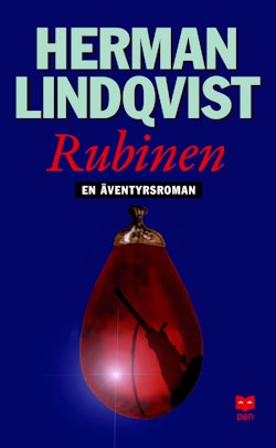 Rubinen : en äventyrsroman