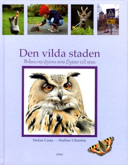 Den vilda staden : boken om djuren som flyttar till stan