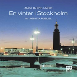 En vinter i Stockholm