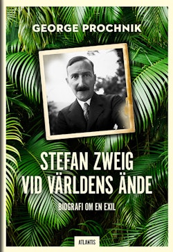 Stefan Zweig vid världens ände