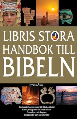 Libris stora handbok till Bibeln