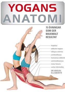 Yogans anatomi : 75 övningar som ger maximalt resultat