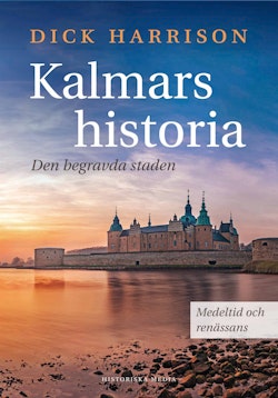 Kalmars historia : den begravda staden