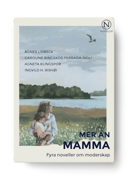 Mer än mamma - fyra noveller om moderskap