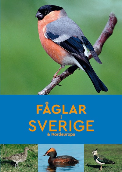 Fåglar i Sverige & Nordeuropa
