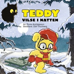 Teddy vilse i natten