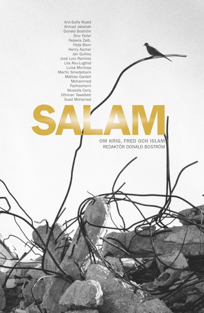 Salam : om krig, fred och islam