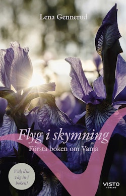 Flyg i skymning : första boken om Vanja