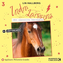 Indra Larssons rätt osannolika hästdagbok