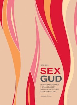 Sexgud : på upptäcktsfärd i gränslandet mellan andlighet och sexualitet