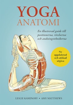 Yoga: Anatomi