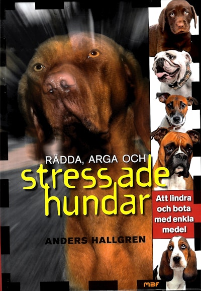 Rädda, arga och stressade hundar