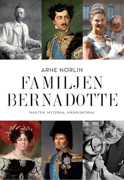 Familjen Bernadotte : makten, myterna, människorna