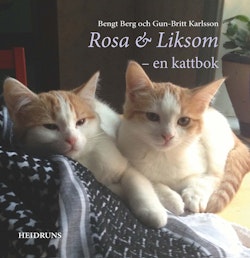 Rosa & Liksom : en kattbok