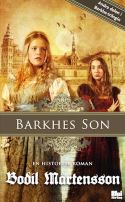 Barkhes son : en historisk spänningsroman