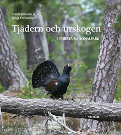 Tjädern och urskogen : i Tyresta nationalpark