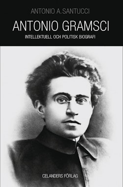 Antonio Gramsci 1891-1937 : intellektuell och politisk biografi