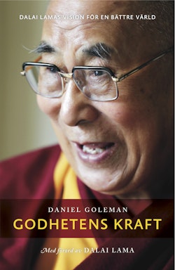 Godhetens kraft : Dalai Lamas vision för en bättre värld