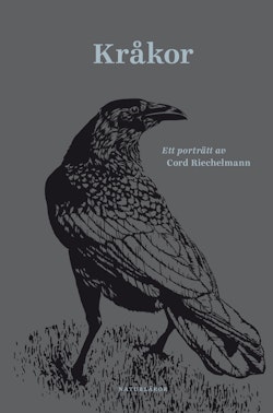 Kråkor : Ett porträtt av Cord Riechelmann