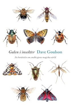 Galen i insekter : en berättelse om småkrypens magiska värld