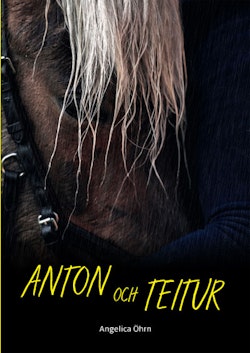 Anton och Teitur