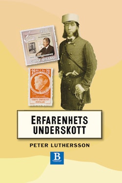 Erfarenhetsunderskott : noteringar om svensk 1800-talslitteratur