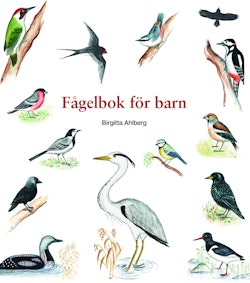 Fågelbok för barn